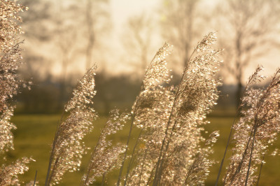 Here comes the sun!